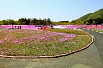 Photo: MinimumFong
