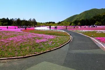 Photo: MinimumFong
