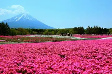 Photo: MinimumFong
