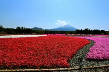 Photo: MinimumFong