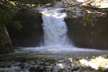 An Absolute Beauty