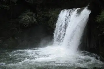 A Gorgeous Rush