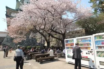<p>เก้าอี้นั่งและตู้กดน้ำก่อนถึงตัวปราสาท</p>