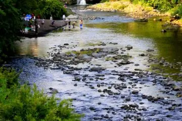 <p>Several families enjoy having picnics in the area</p>