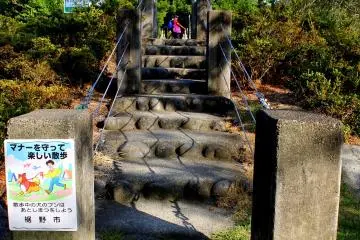 <p>The stepping stones of the suspension bridge can withstand any storm</p>