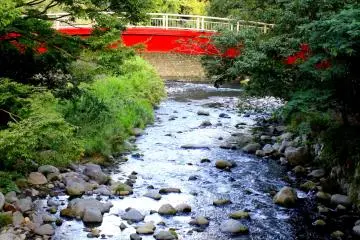 <p>We should be content with what we have and don't have at present, but it does not mean we have to stop dreaming</p>