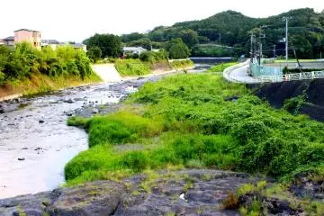<p>The combination of green grass and the rushing waters can soothe your busy mind</p>