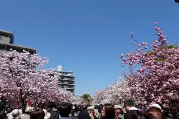 <p>บรรยากาศของงานในตอนกลางวัน</p>