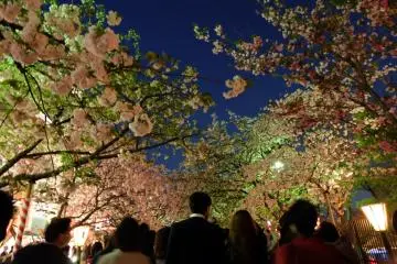 <p>บรรยากาศตอนกลางคืนจะครึกครื้นเป็นพิเศษ</p>
