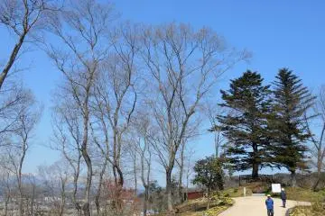 공원 가장자리에는'지렁이 나무들'이라고 불리는 전망대가 있다. 이 갑판은 1970년 NHK 시대 드라마의 이름을 따서 지어졌다