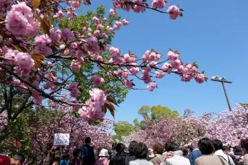 <p>บรรยากาศตรงทางเข้างาน</p>