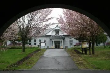 Gallery image