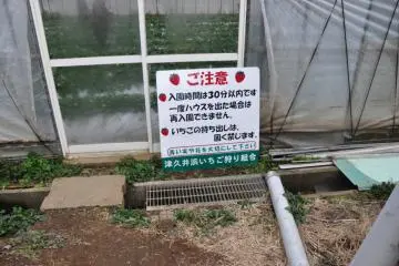 Honesty Basis