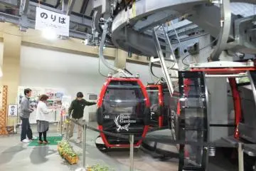 Gallery image