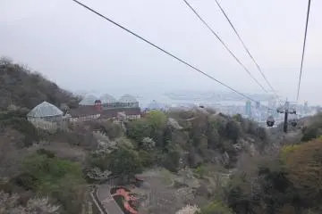 <p>ภูเขาซากุระ</p>