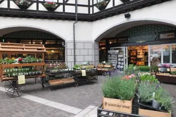 <p>ร้านขายต้นไม้เมืองหนาว</p>