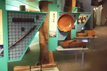 <p>Preserved stumps are excavated and carved into beautiful wooden goods</p>