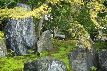 <p>Looking at something you can&rsquo;t see! Most parts of the stones are under the ground</p>
