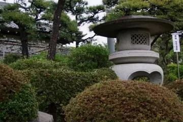<p>The small front garden &nbsp;</p>