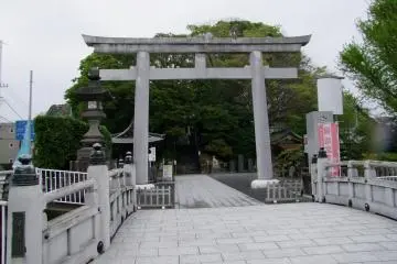Gallery image