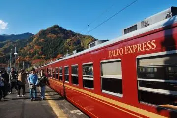 Journey through spectacular natural scenery on the Chichibu&nbsp;Paleo Express (Photo: Photo courtesy of Febry Fawzi )