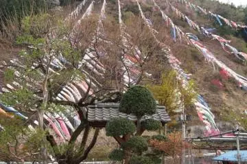 Breathtaking natural scenery by the Jinryu river in&nbsp;Chichibu