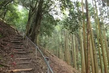 <p>เส้นทางเดินไต่เขาคิบุเนะ-คุรามะ</p>
