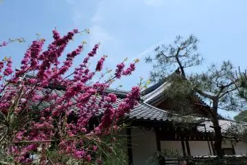 <p>มุมหนึ่งของวัด</p>