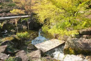 <p>บรรยากาศภายในสวน</p>