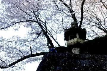 Looking up at the entrance to Kiyomizudera on an early April morning