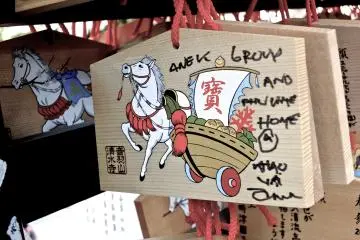 Is this year the Year of the Horse? How did you know?!