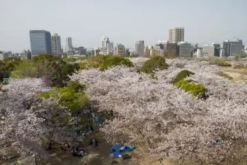 Pemandangan dari podium tertinggi di Taman Maizuru