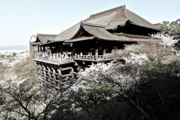 What a great time to be at Kiyomizudera...the cherry trees were in full bloom