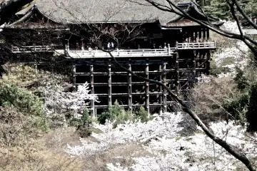 <p>A view of Kiyomizudera from the front; how beautiful!</p>