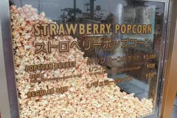 Strawberry flavored popcorn is always our favorite at the park, but there are other interesting flavors available throughout: Curry, Milk Tea, Black Pepper, and Caramel.