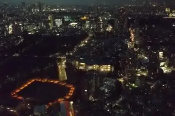 <p>The night view is a striking show of lights</p>