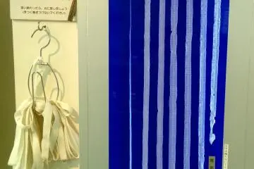 The star of the museum is this tape worm. What started about the size of a clipped fingernail has grown nearly nine meters in length. And again, this grows inside animal or human hosts.&nbsp;