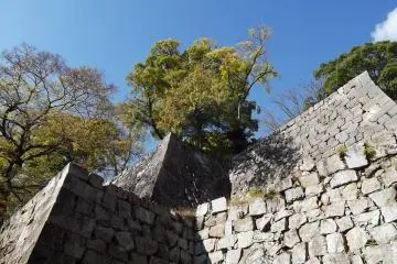 None shall pass these big walls