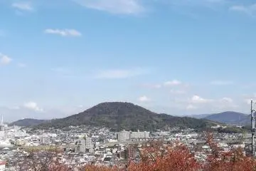 Looking west from the top of the hill