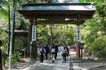 Gallery image