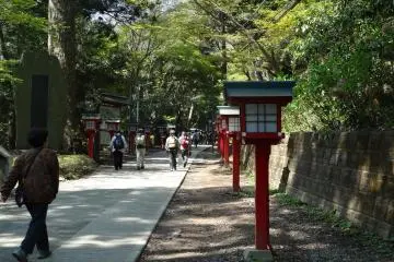 Gallery image