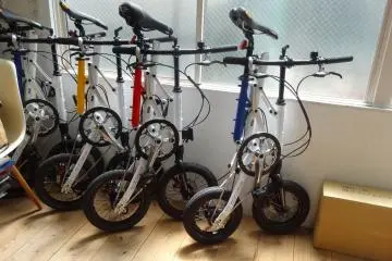 <p>Different kind of folding bike</p>