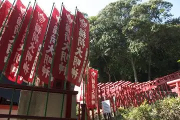 Kinkō Inari Shrine Torii Gate "Tunnel" (Photo: <a href="http://www.gethiroshima.com" target="_blank" rel="noreferrer noopener nofollow">GetHiroshima</a>)