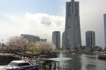 <p>Landmark Tower</p>