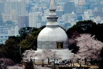 Hanami in Hiroshima City (Photo: <a href="https://www.flickr.com/photos/gethiroshima/2388464173/" target="_blank" rel="noreferrer noopener nofollow">GetHiroshima</a> / <a href="https://creativecommons.org/licenses/by-nc/2.0/" target="_blank" rel="noreferrer noopener nofollow">CC BY-NC 2.0</a>)
