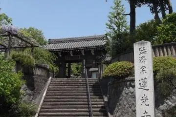 <p>The steps up to the gate from the road</p>