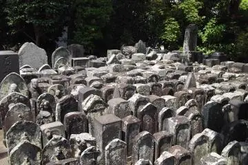 <p>The graveyard is a compact place</p>