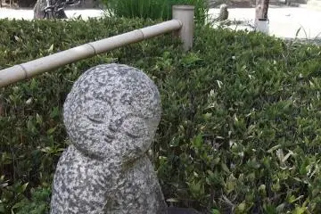 <p>This little chap is happy in his shady spot</p>