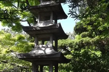 <p>Also in amongst the shady trees are lanterns and this pagoda</p>
