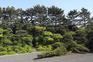 <p>The raked gravel zen garden</p>